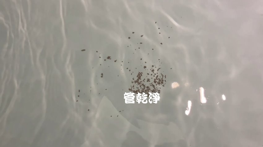 洗水管, 水管清洗, 管乾淨, 洗工廠管路, 洗旅館管路